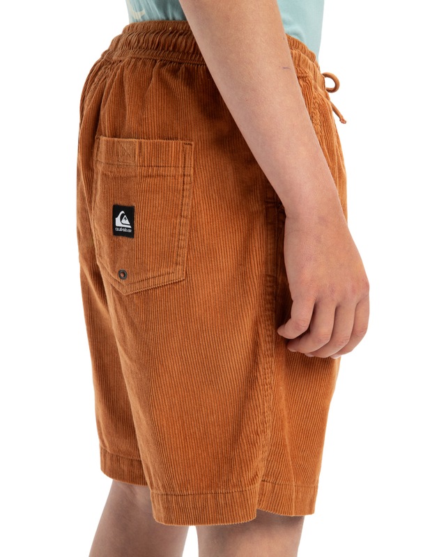 Quiksilver Bermudas »Taxer«