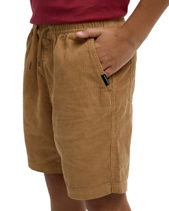 Quiksilver Bermudas »Taxer«