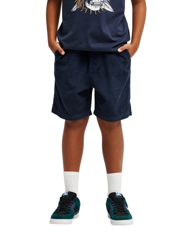 Quiksilver Bermudas »Taxer«