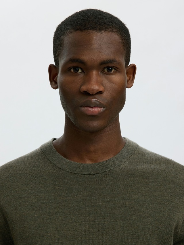 SELECTED Rundhalspullover »SLHTRAY LS KNIT MERINO CREW NECK NOOS« Wolle, regular fit