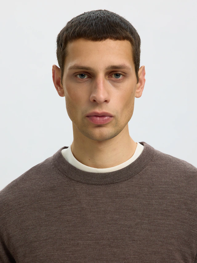 SELECTED Rundhalspullover »SLHTRAY LS KNIT MERINO CREW NECK NOOS« Wolle, regular fit