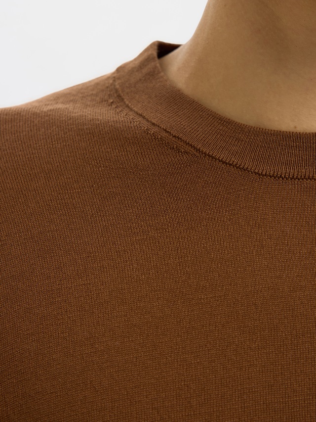 SELECTED Rundhalspullover »SLHTRAY LS KNIT MERINO CREW NECK NOOS« Wolle, regular fit