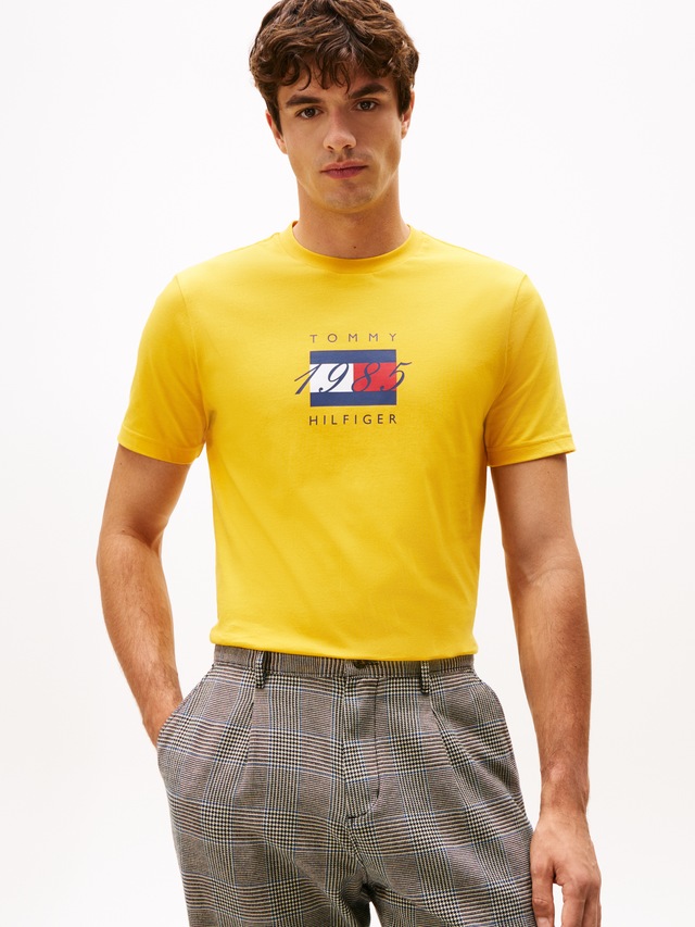Tommy Hilfiger T-Shirt »LINEAR FLAG GRAPHIC« Rundhals, regular fit, Jersey