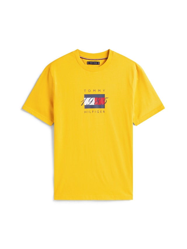 Tommy Hilfiger T-Shirt »LINEAR FLAG GRAPHIC« Rundhals, regular fit, Jersey