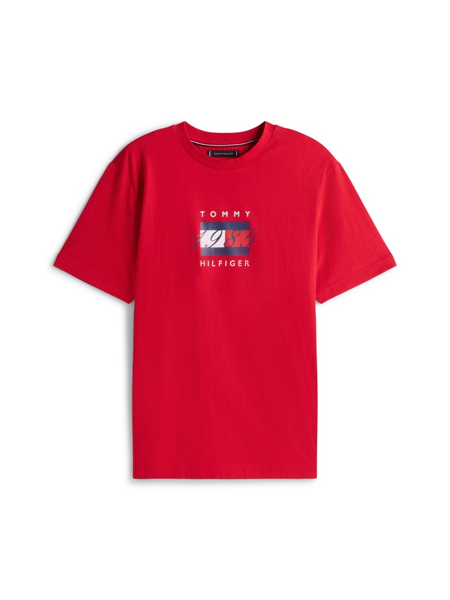 Tommy Hilfiger T-Shirt »LINEAR FLAG GRAPHIC« Rundhals, regular fit, Jersey