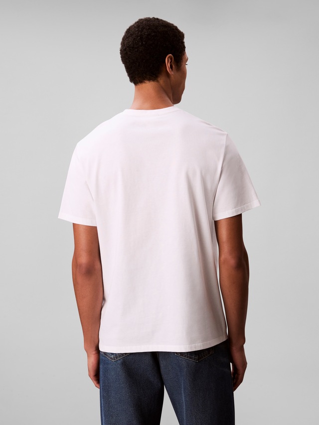 Calvin Klein T-Shirt »SS 20S EU CK OVERLAP GRAPHIC TEE« Mit Rundhalsausschnitt, regular fit