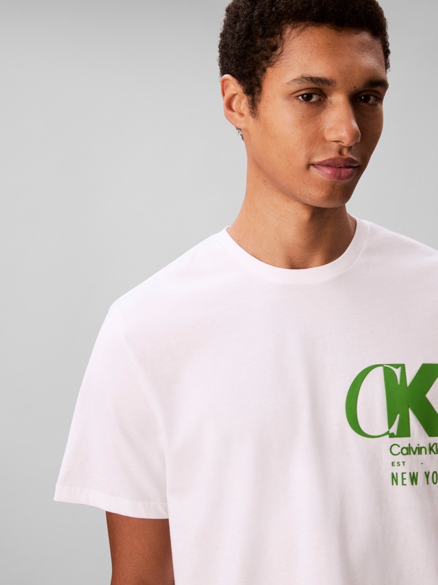 Calvin Klein T-Shirt »SS 20S EU CK OVERLAP GRAPHIC TEE« Mit Rundhalsausschnitt, regular fit
