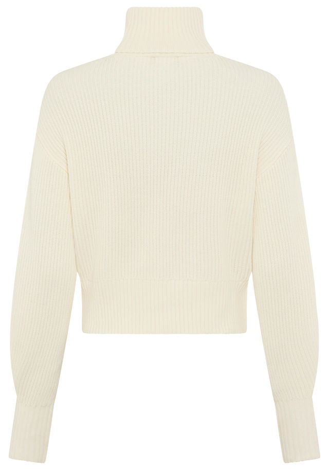 Calvin Klein Jeans Strickpullover Rollkragen, loose fit
