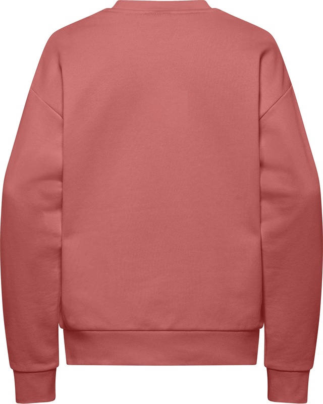 Jack Wolfskin Langarmshirt »ESSENTIAL CREWNECK W«