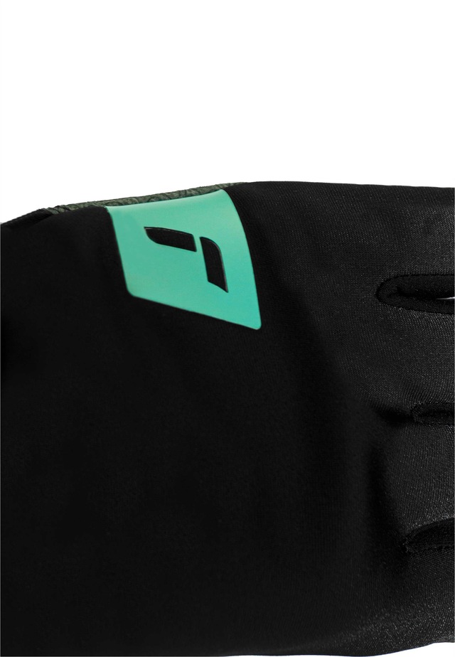 Reusch Skihandschuhe »Hike & Ride STORMBLOXX™ TOUCH-TEC™« mit praktischer Touch-Funktion