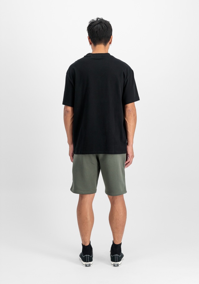 Alpha Industries Shorts »Basic SL II Shorts«