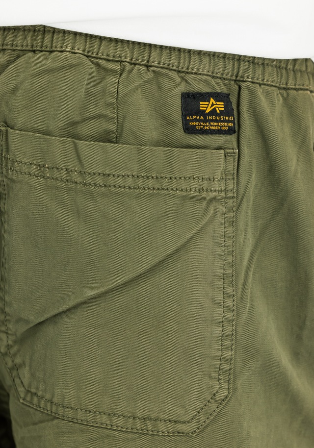 Alpha Industries Shorts »Basic Cotton Short«