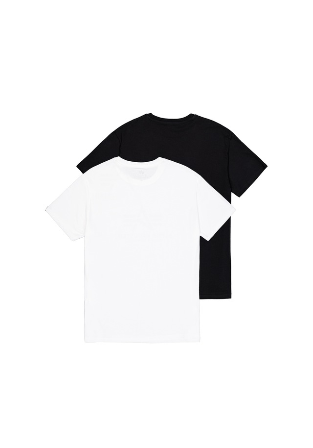Alpha Industries T-Shirt »Basic SL T-Shirt 2-Pack«