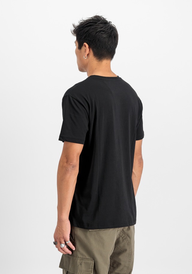 Alpha Industries T-Shirt »Basic SL T-Shirt 2-Pack«