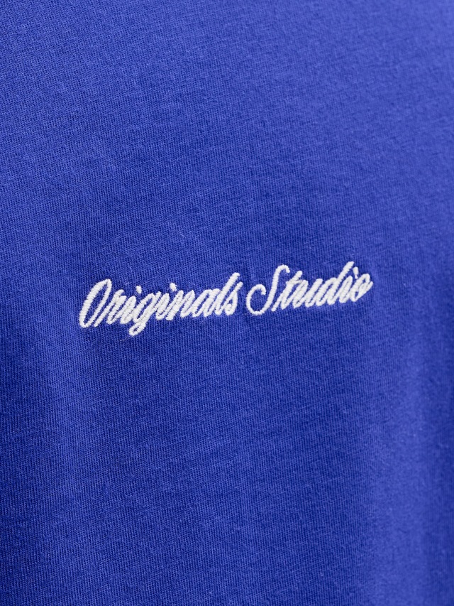 Jack & Jones Rundhalsshirt »JORNORREBRO EMB TEE SS CREW NECK NOOS« Baumwolle, locker geschnitten