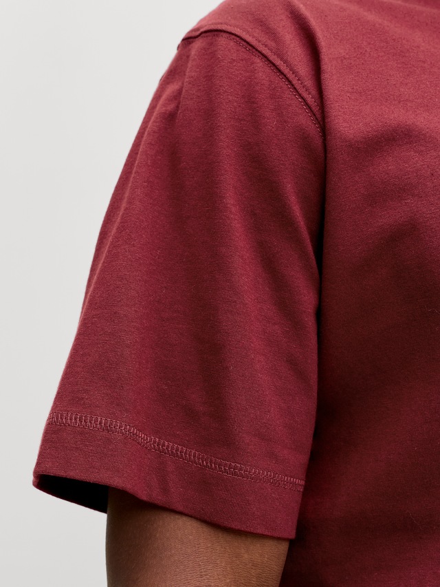 Jack & Jones Rundhalsshirt »JORNORREBRO EMB TEE SS CREW NECK NOOS« Baumwolle, locker geschnitten