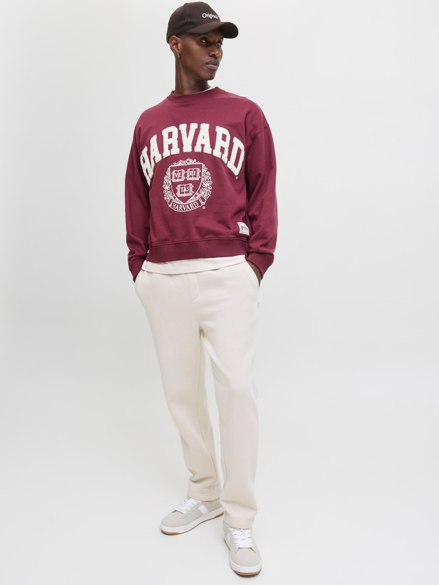 Jack & Jones Sweathose »JPSTKANE BRADLEY UNCUFFED SWT PANTS NOOS« Materialmix, relaxed fit