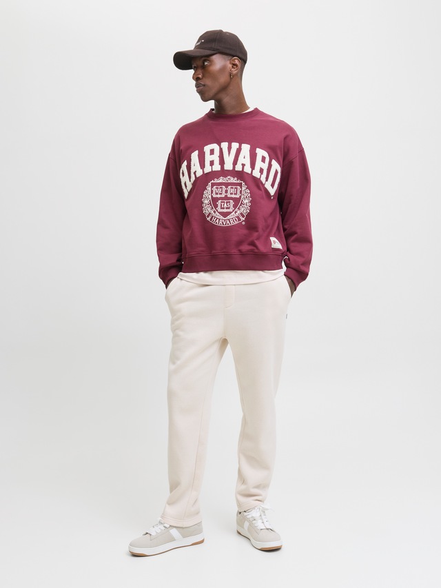 Jack & Jones Sweathose »JPSTKANE BRADLEY UNCUFFED SWT PANTS NOOS« Materialmix, relaxed fit