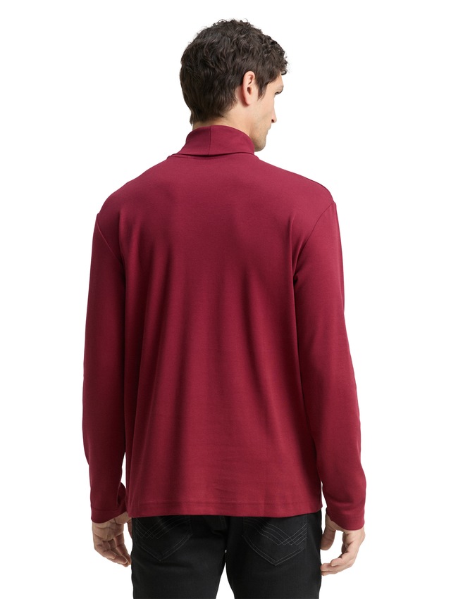 TOM TAILOR Langarmshirt mit Rollkragen