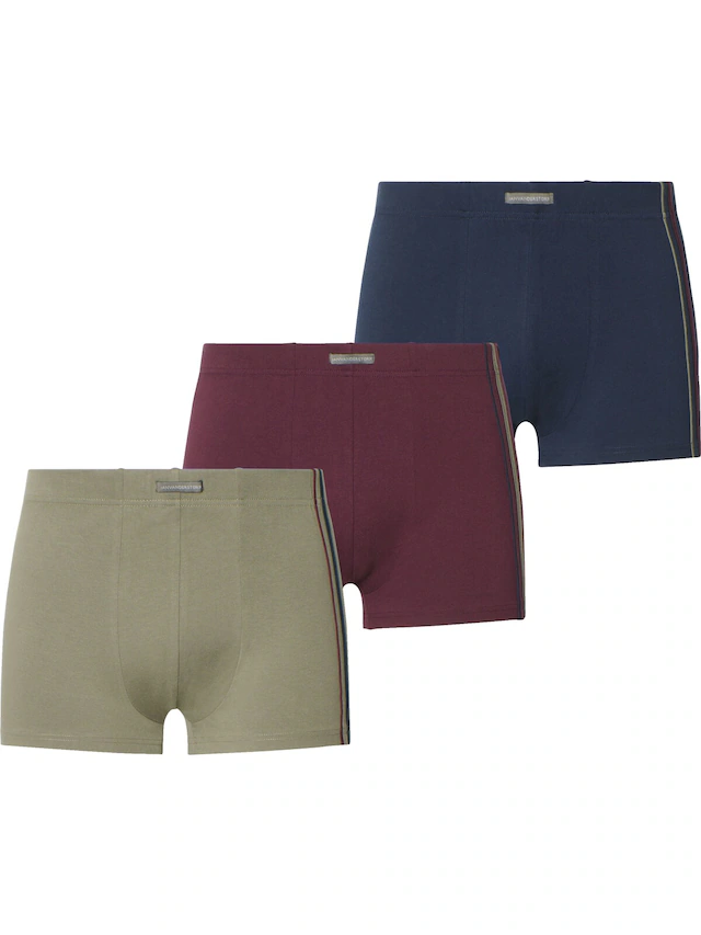 Jan Vanderstorm Retro Pants »3er Pack Retropant KINTAN«