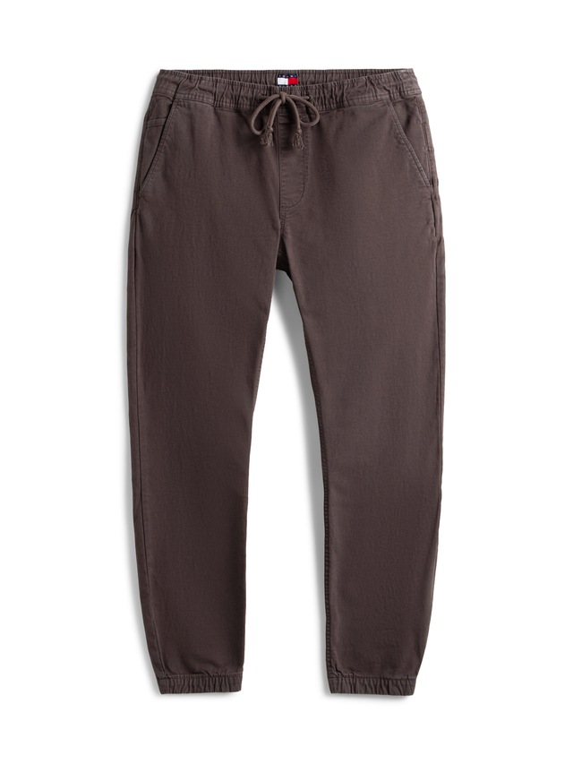 Tommy Jeans Jogger Pants »TJM SCANTON COTTON CANVAS« mit elastischem Bund