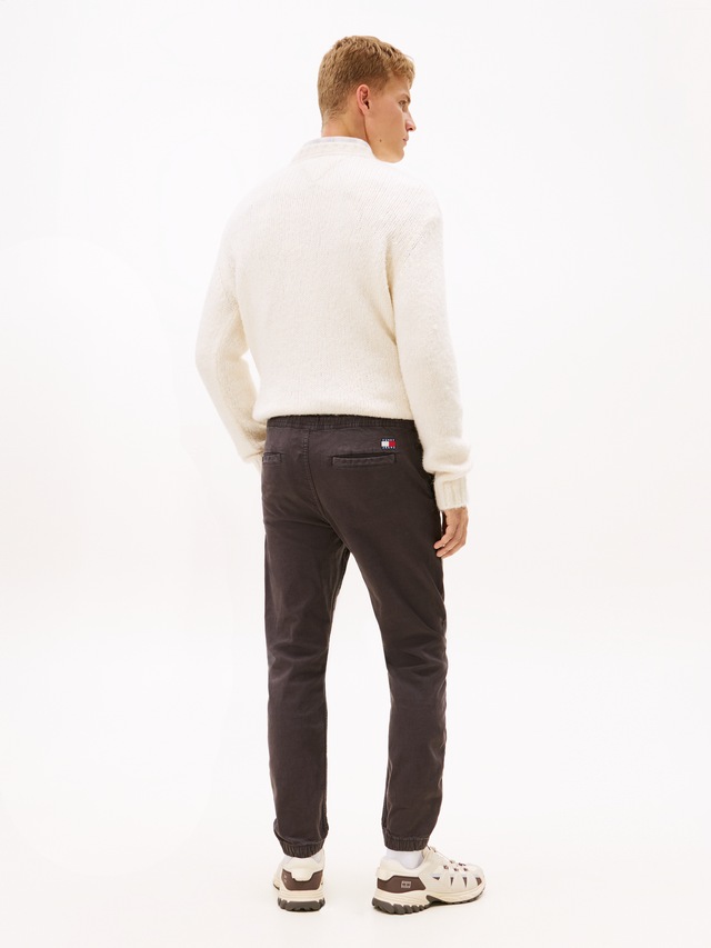 Tommy Jeans Jogger Pants »TJM SCANTON COTTON CANVAS« mit elastischem Bund