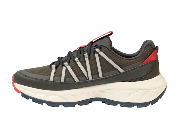 Jack Wolfskin Wanderschuh »WILD HIKE TEXAPORE LOW M« Outdoorschuh, Trekkingschuh, wasserdicht