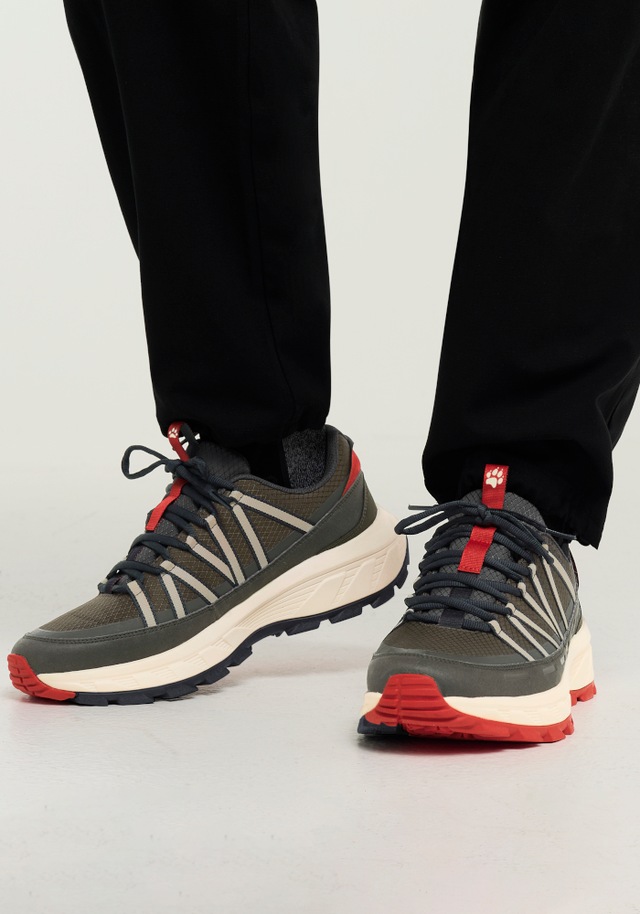 Jack Wolfskin Wanderschuh »WILD HIKE TEXAPORE LOW M« Outdoorschuh, Trekkingschuh, wasserdicht
