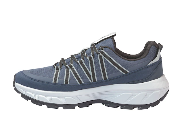 Jack Wolfskin Wanderschuh »WILD HIKE TEXAPORE LOW M« Outdoorschuh, Trekkingschuh, wasserdicht