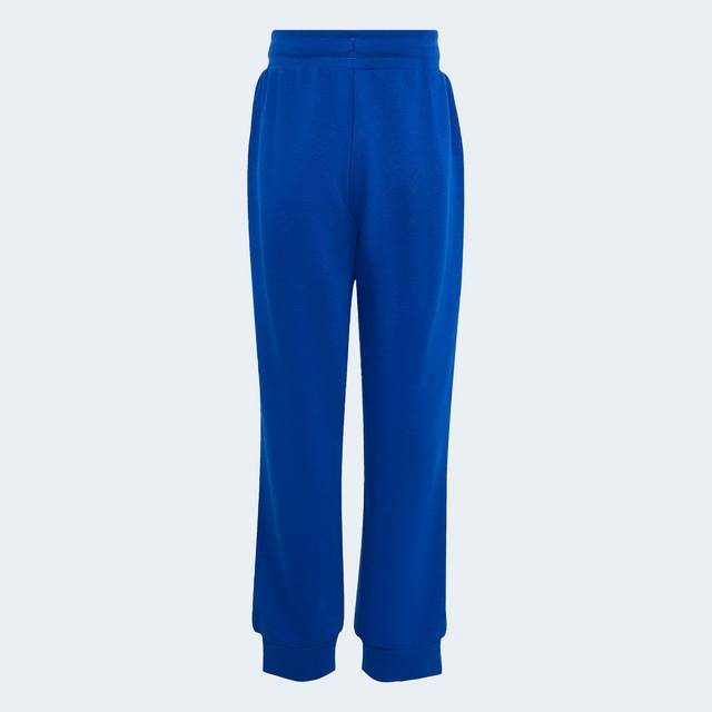 adidas Originals Trainingsanzug »TREFOIL SET MIT RUNDHALSAUSSCHNITT, LOCKER GESCHNITTEN« 2 tlg.