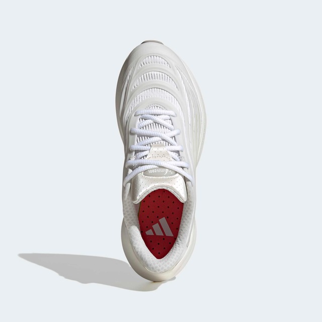 adidas Sportswear Sneaker »CLIMACOOL SPW« Climacool