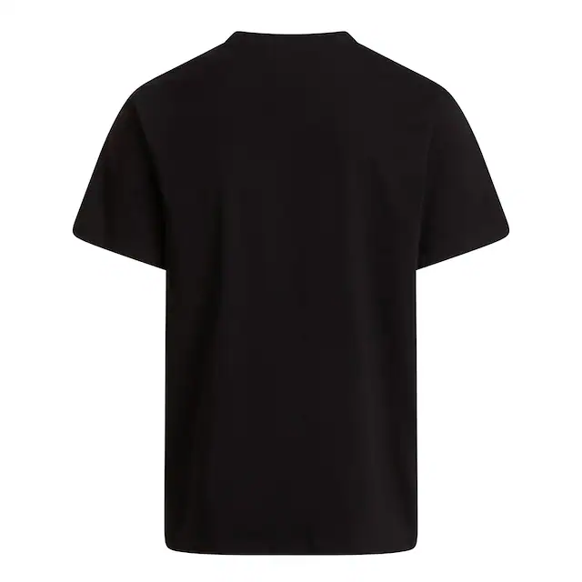 The North Face T-Shirt »M EVOLUTION SIMPLE DOME REGULAR SHORT SL« normale Passform, Kurzarm, sportlicher Stil
