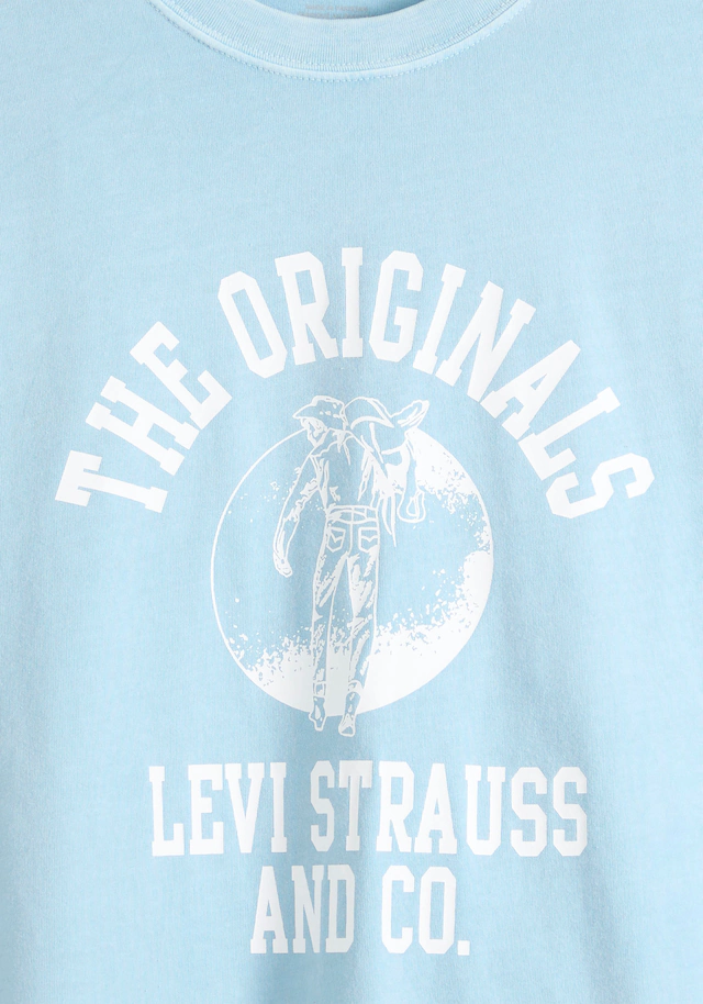 Levi's® T-Shirt »VINTAGE FIT GRAPHIC TEE« mit Logo-Print