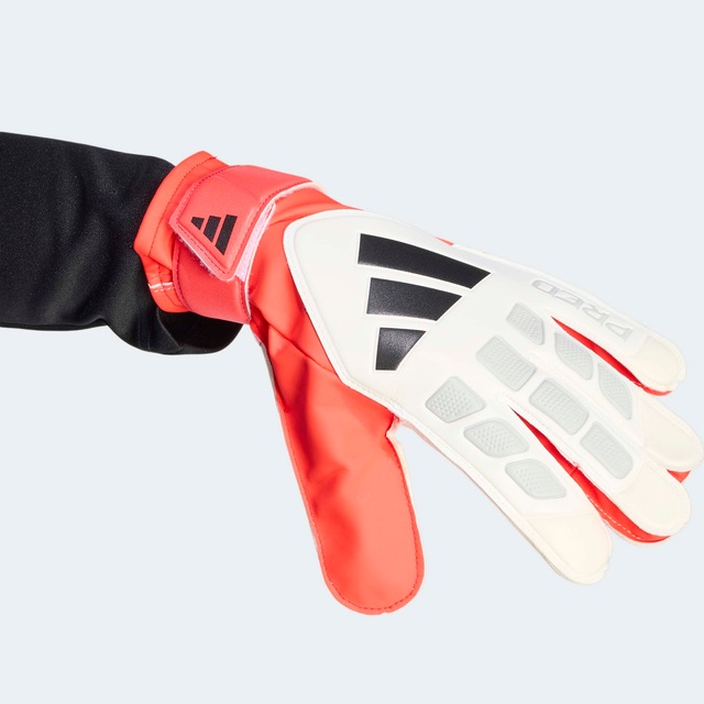 adidas Performance Torwarthandschuhe »PREDATOR TRAINING«