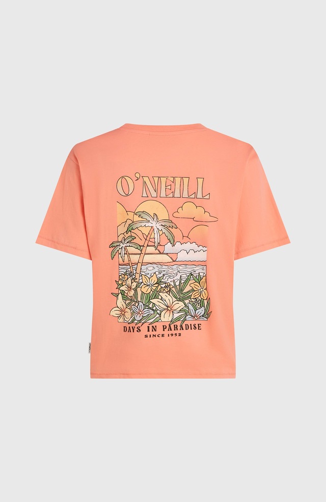 O'Neill T-Shirt »O'NEILL BOXY BACK PRINT T-SHIRT« sportliche Passform, lockerer Schnitt, aus Baumwolle