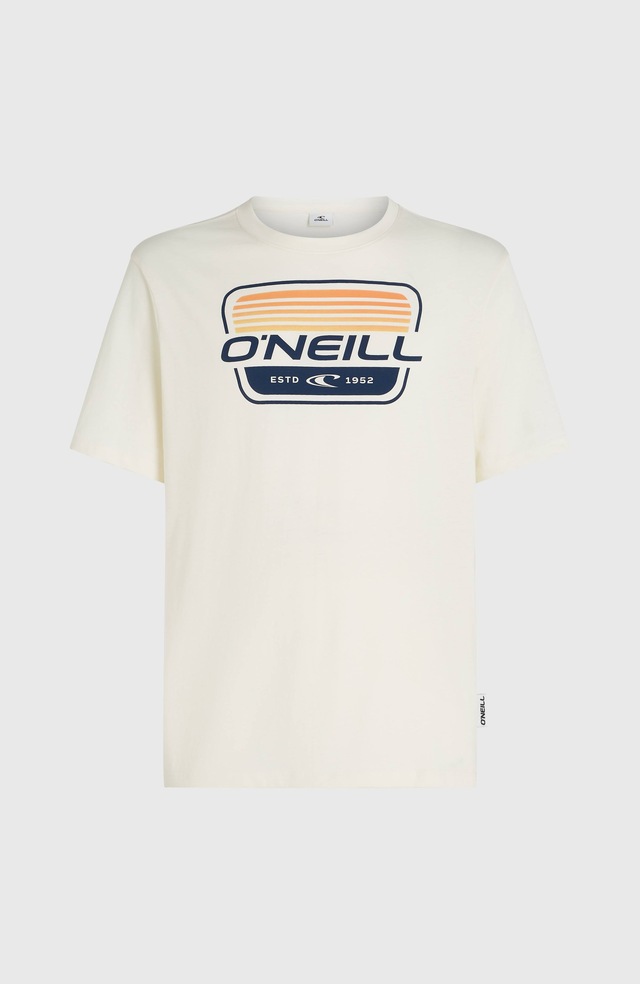 O'Neill T-Shirt »O'NEILL GRAPHIC T-SHIRT« sportliche Passform, aus Baumwolle