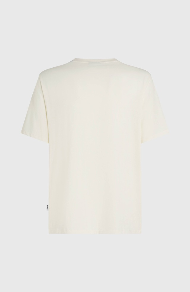 O'Neill T-Shirt »O'NEILL GRAPHIC T-SHIRT« sportliche Passform, aus Baumwolle