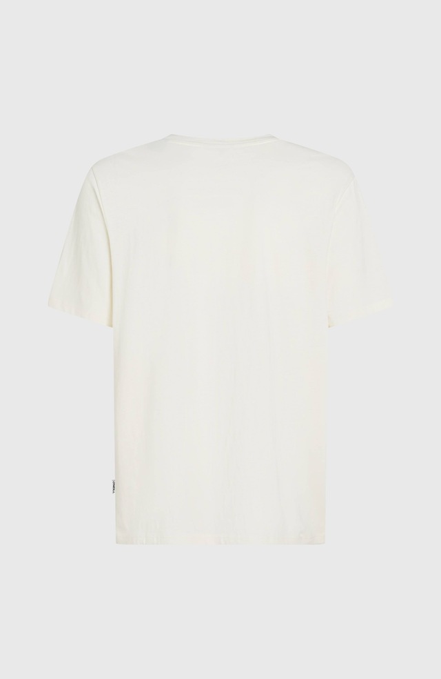 O'Neill T-Shirt »O'NEILL GRAPHIC T-SHIRT« sportliche Passform, aus Baumwolle
