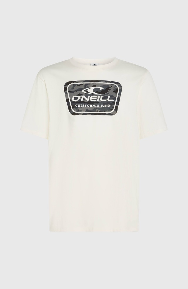 O'Neill T-Shirt »O'NEILL GRAPHIC T-SHIRT« sportliche Passform, aus Baumwolle