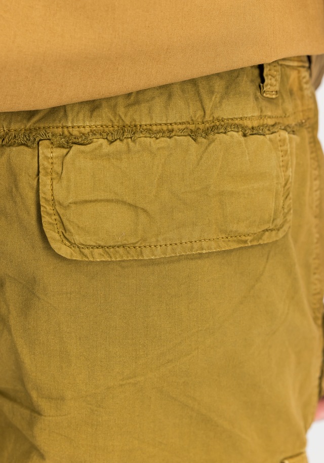 Alpha Industries Shorts »Aloha Safari Shorts«