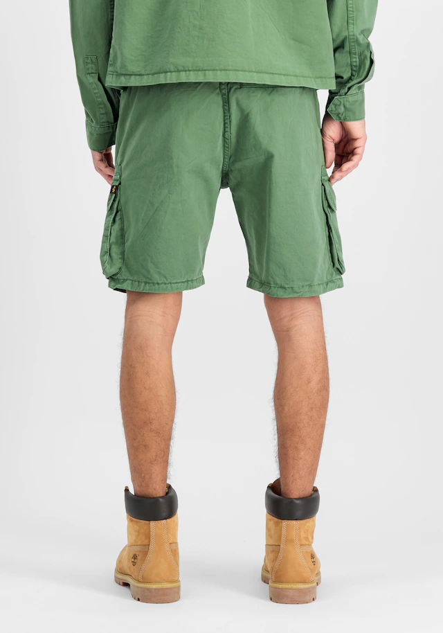 Alpha Industries Shorts »Flying Tigers Shorts«