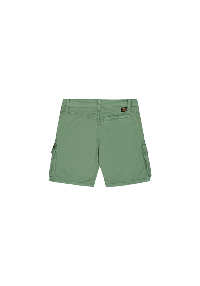 Alpha Industries Shorts »Flying Tigers Shorts«