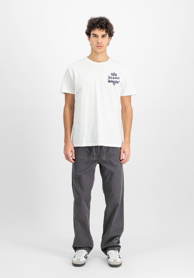 Alpha Industries Shorts »Basic Cotton Pants«