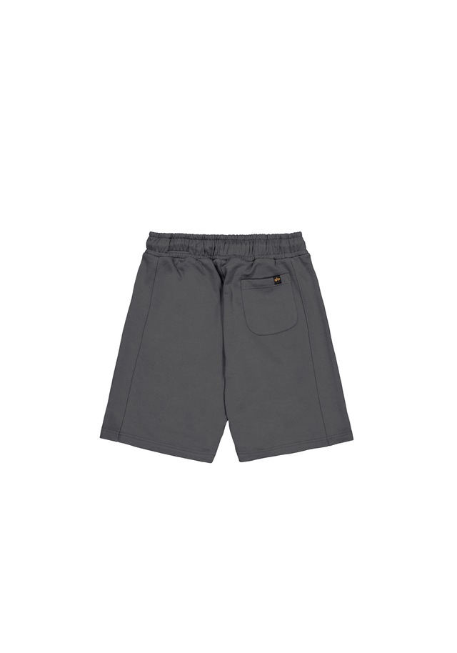 Alpha Industries Shorts »Studio Edition Shorts«
