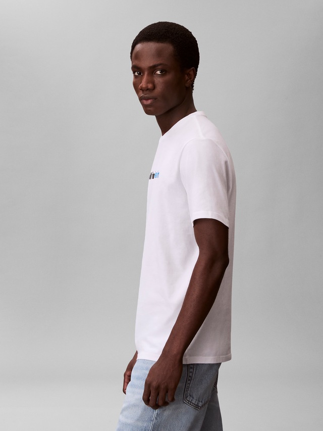 Calvin Klein Jeans T-Shirt »JEANS GRAPHICS« Regular fit mit Markenprint