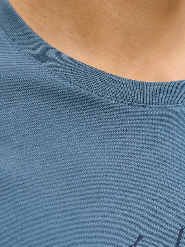 Jack & Jones Rundhalsshirt »JJEDOVER DENIM TEE SS O-NECK SN« mit Logobranding