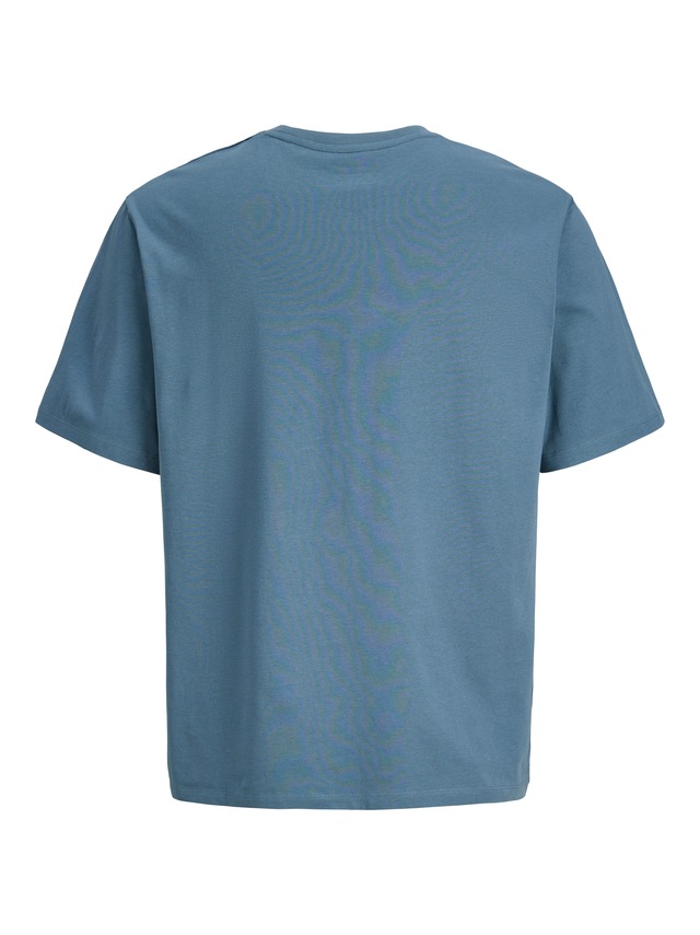 Jack & Jones Rundhalsshirt »JJEDOVER DENIM TEE SS O-NECK SN« mit Logobranding