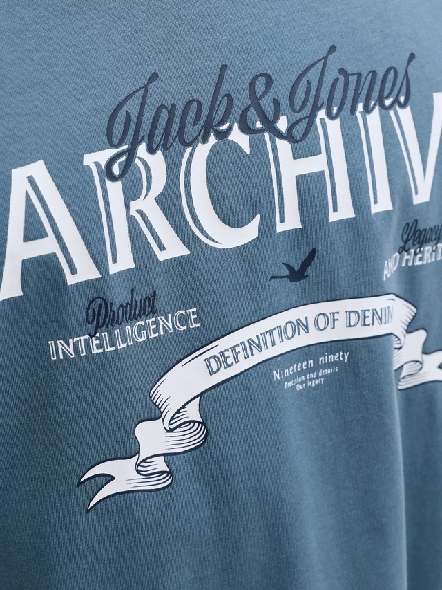 Jack & Jones Rundhalsshirt »JJEDOVER DENIM TEE SS O-NECK SN« mit Logobranding