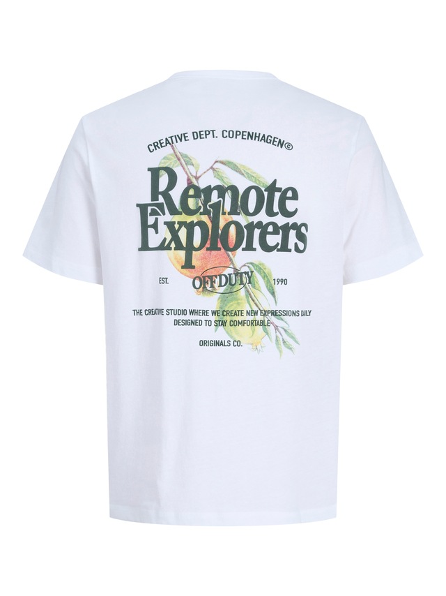 Jack & Jones T-Shirt »JORMONTAUK MULTICOLOR GRAPHIC TEE CN«