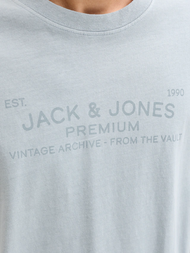 Jack & Jones T-Shirt »JPRBLUAIDEN SS TEE« Baumwolle, regular fit